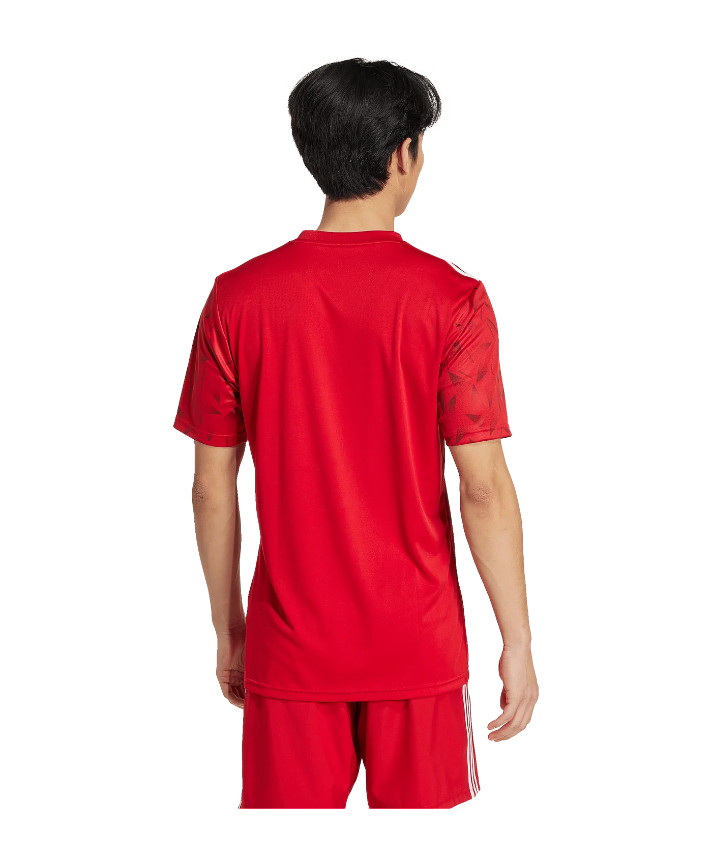 adidas Team Icon 25 Trikot Rot