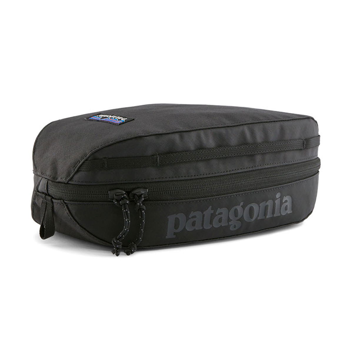 Patagonia Black Hole Cube 3 L (Black)