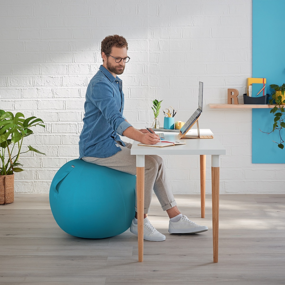 Leitz Ergo Cosy aktiv balanseball