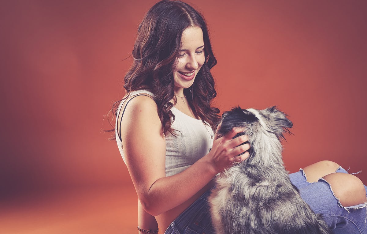 Tier Fotoshooting in Aachen als Geschenk