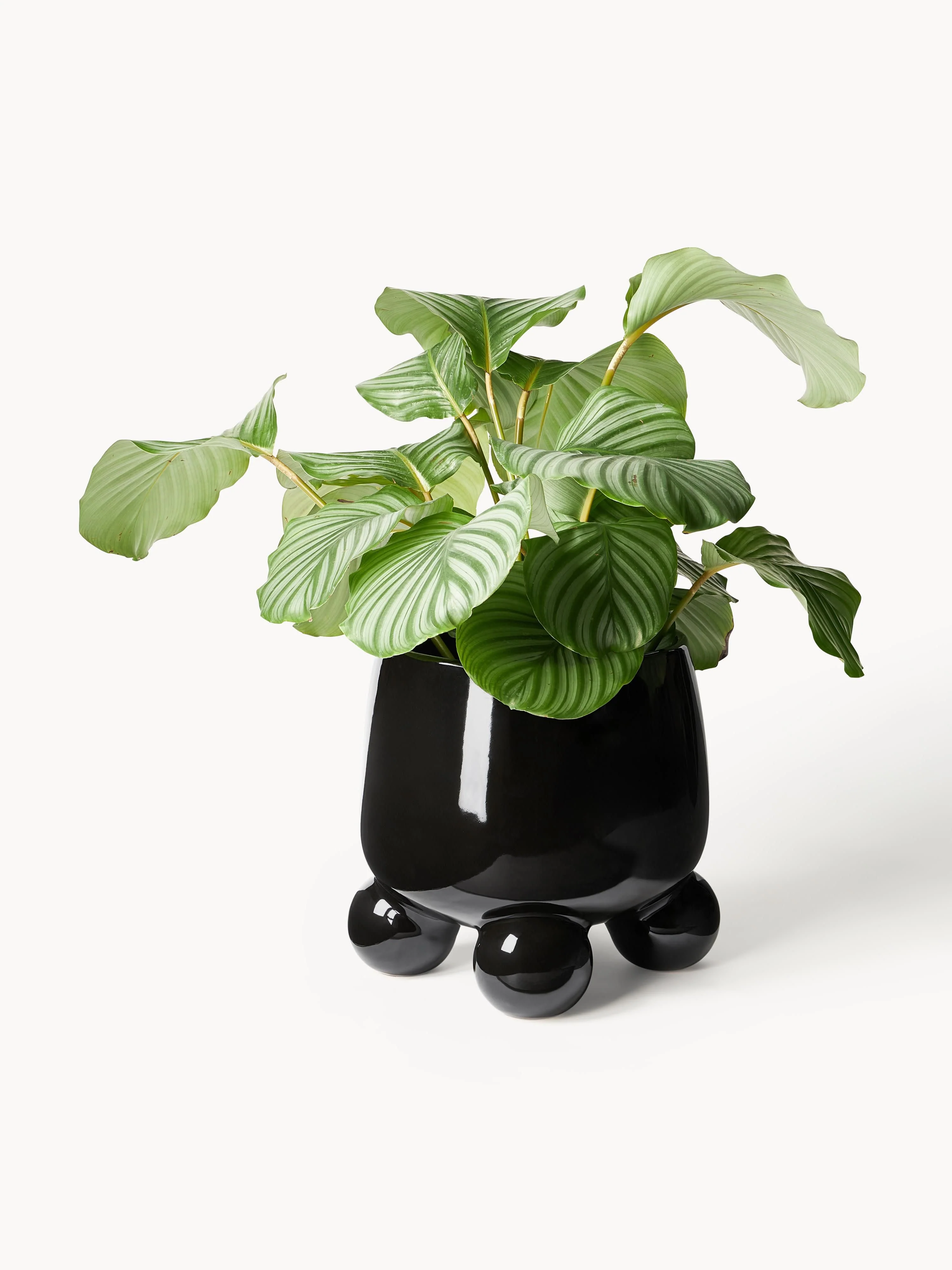 Grote plantenpot Olea, H 32 cm