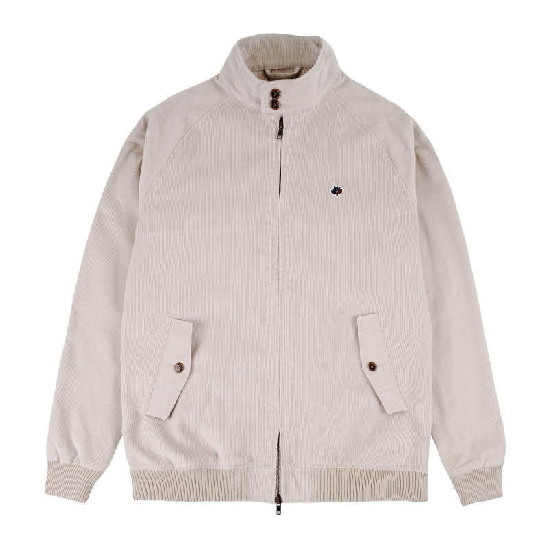 VESTE EN VELOURS VELOURS HARRINGTON - CEMENT