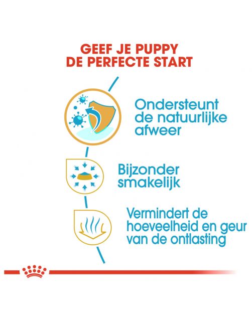 Royal Canin Chihuahua - Puppy-Hondenvoer