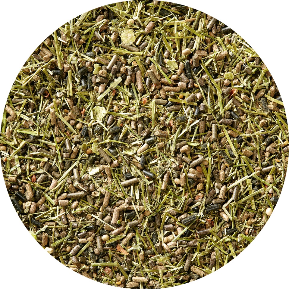 Aveve - Sport Mix Zero, 20 kg