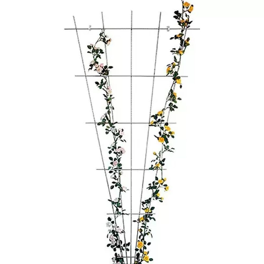 ESPALIER TIL ROSE BELLISSA 150X75 CM
