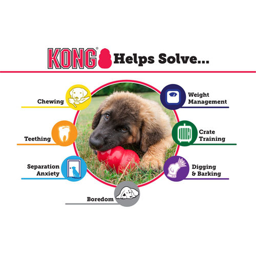 KONG Extreme