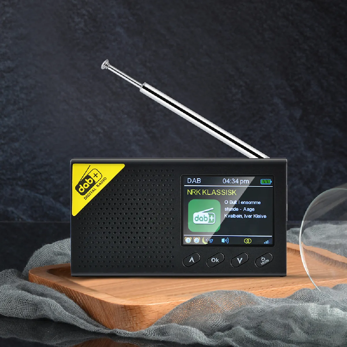 Universal DAB/DAB+ Radio
