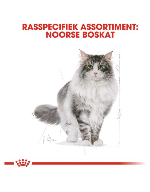 Royal Canin Norwegian Forest Cat Adult - Kattenvoer
