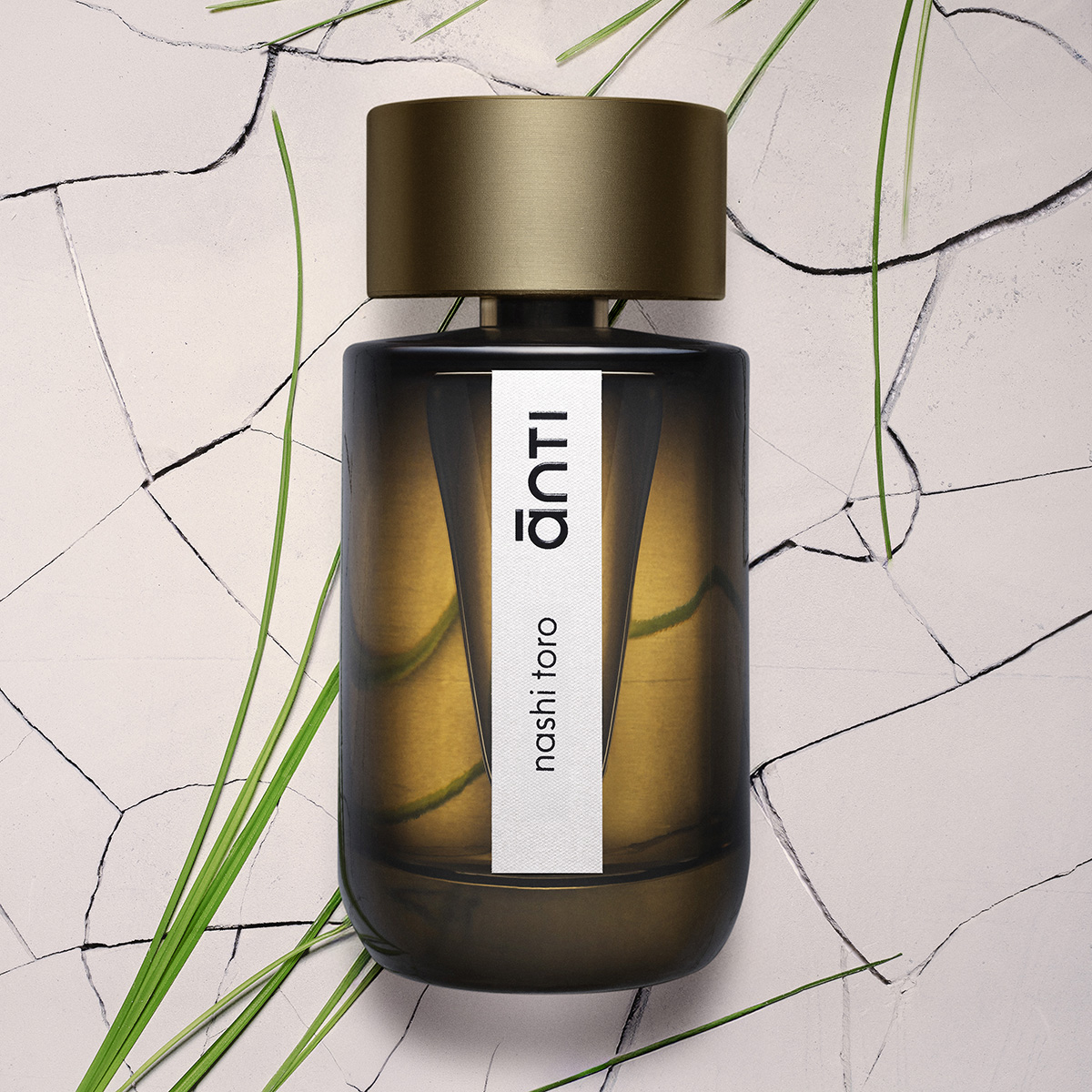 Nashi Toro Eau de Parfum 100ml