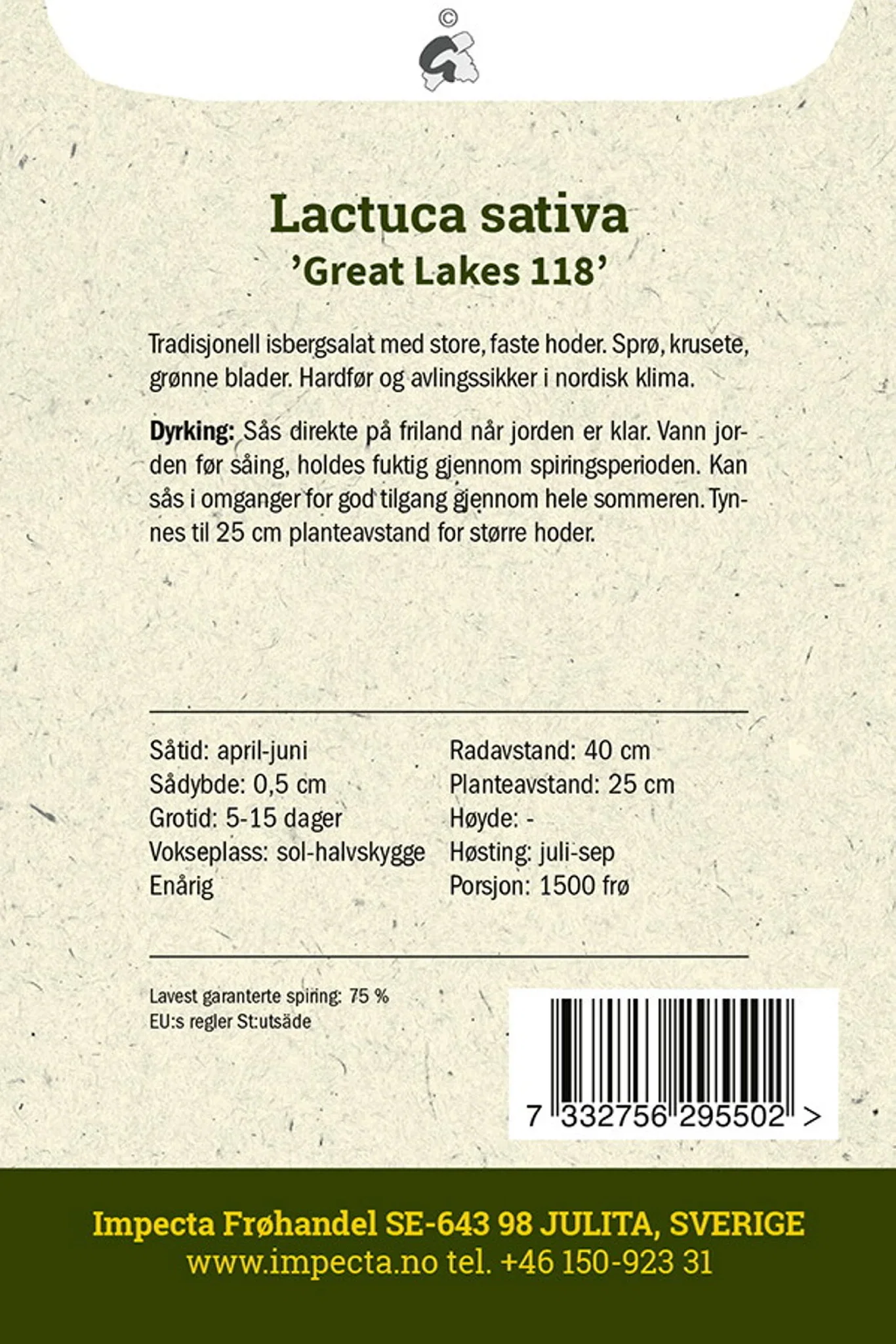 Lactuca sativa 'Great Lakes 118' Isbergsalat 'Great Lakes 118'