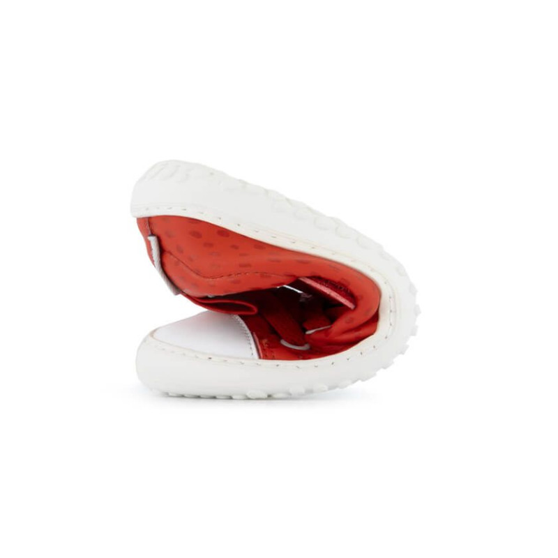 Zapato feroz Zapato Feroz Rockers Paterna Ulises Rouge