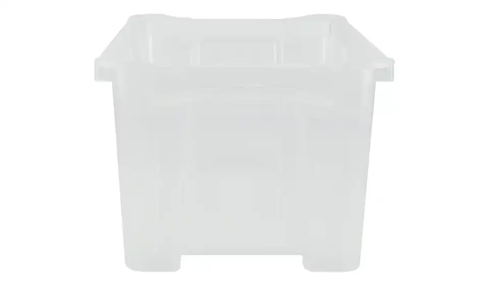 Rotho Aufbewahrungsbox 12,8 cm