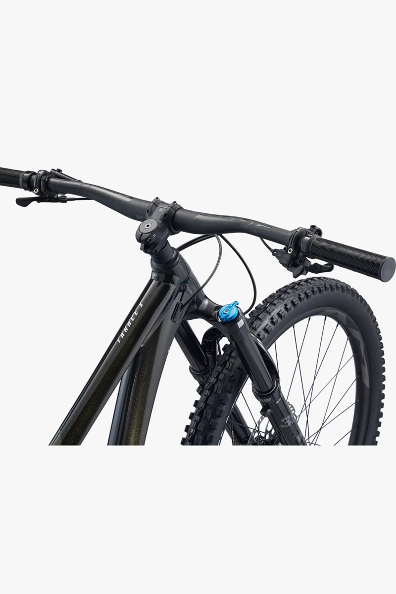 Giant Trance X 29 I Mountainbike 2024