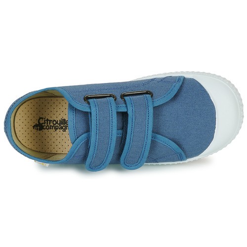 Citrouille et Compagnie - MINOT - Bleu
