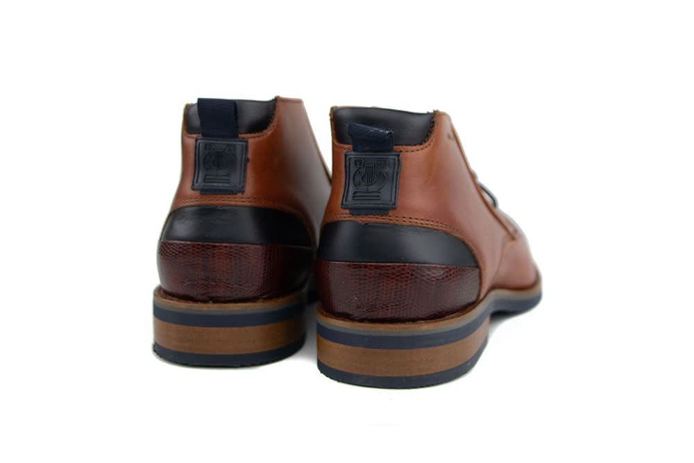 Van Lier Hoge Veter Amalfi Cognac