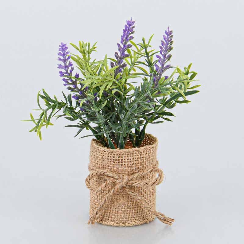 Petites fleurs en pot