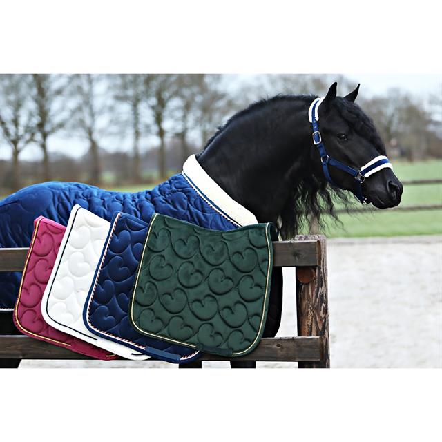 Halsterset Friesian Horse By HORSEGEAR Donkerblauw