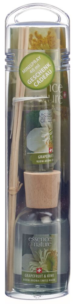 ESSENCE OF NATURE Classic Room Aroma Sticks Grapefruit & Kiwi 100 ml