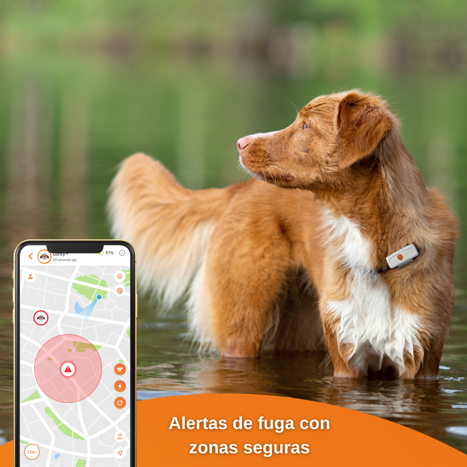 Weenect XS - GPS para cães (Branco)