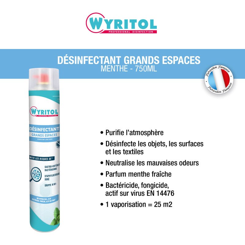 Désinfectant grands espaces bactéricide Wyritol Professional Desinfection menthe - Aérosol 750 ml
