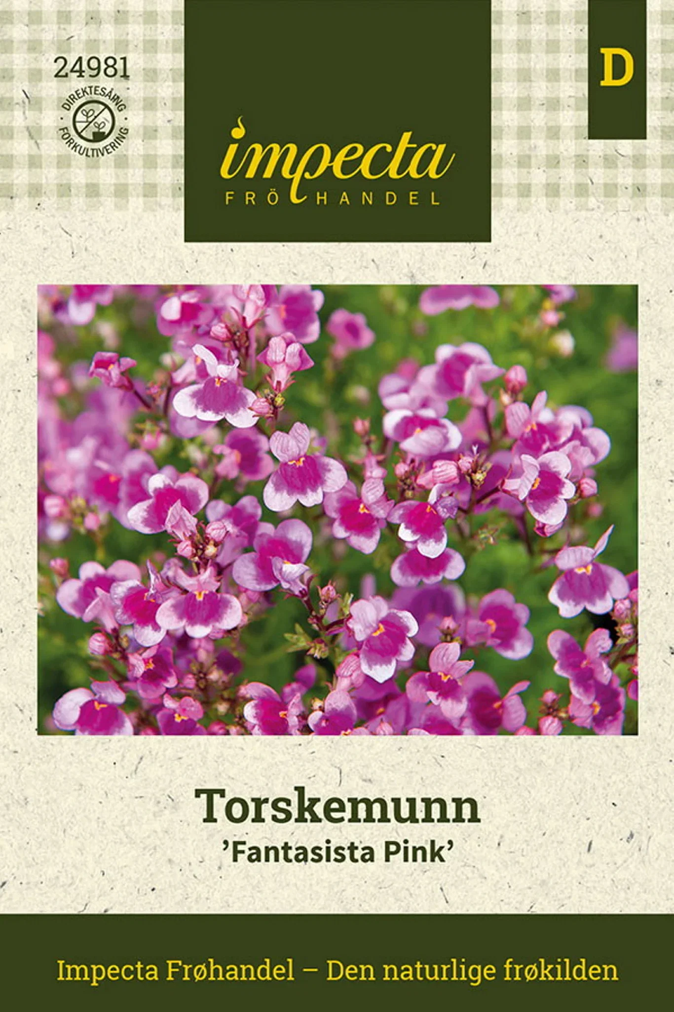 Linaria x versicolor 'Fantasista Pink' Torskemunn 'Fantasista Pink'