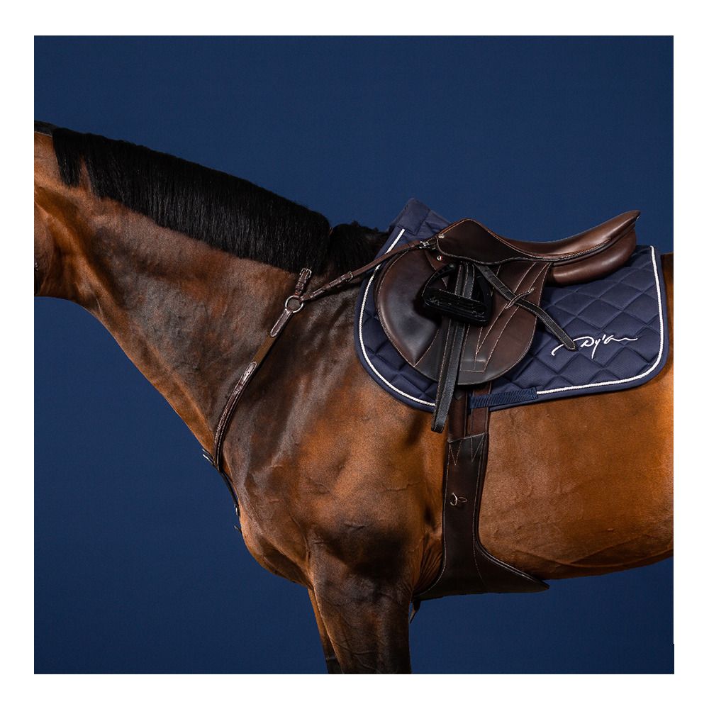 Dy'on US COLLECTION - Collier de chasse À pont brun