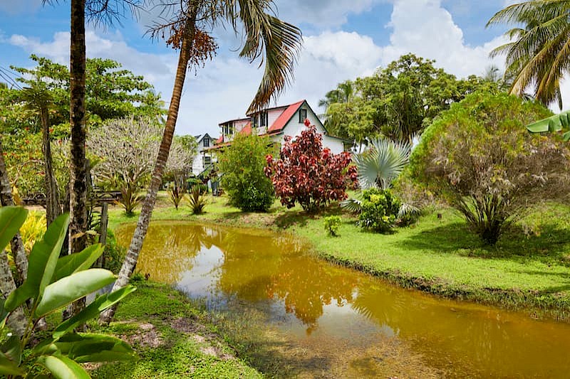 Startpakket Suriname