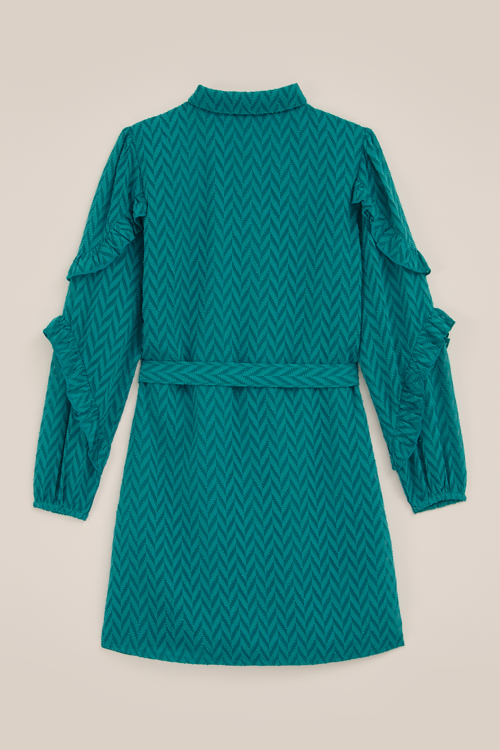 Meisjes jurk met dessin WE Fashion Mosgroen