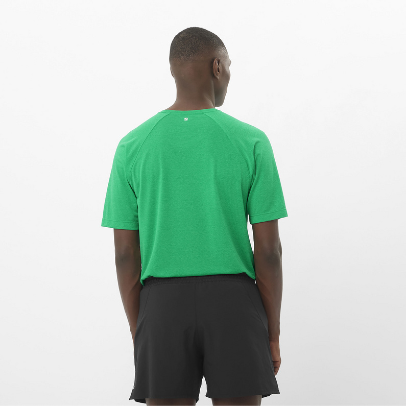 Salomon Herren SHKout Core T-Shirt