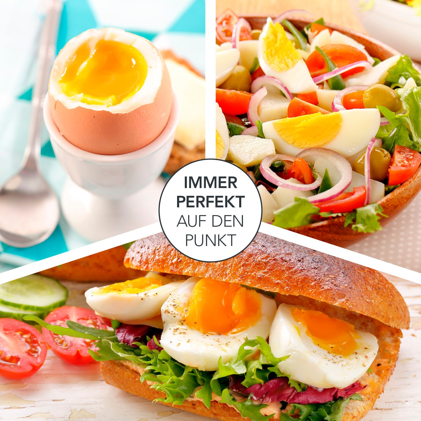 GOURMETmaxx Eierkocher für 7 Eier 350W weiß