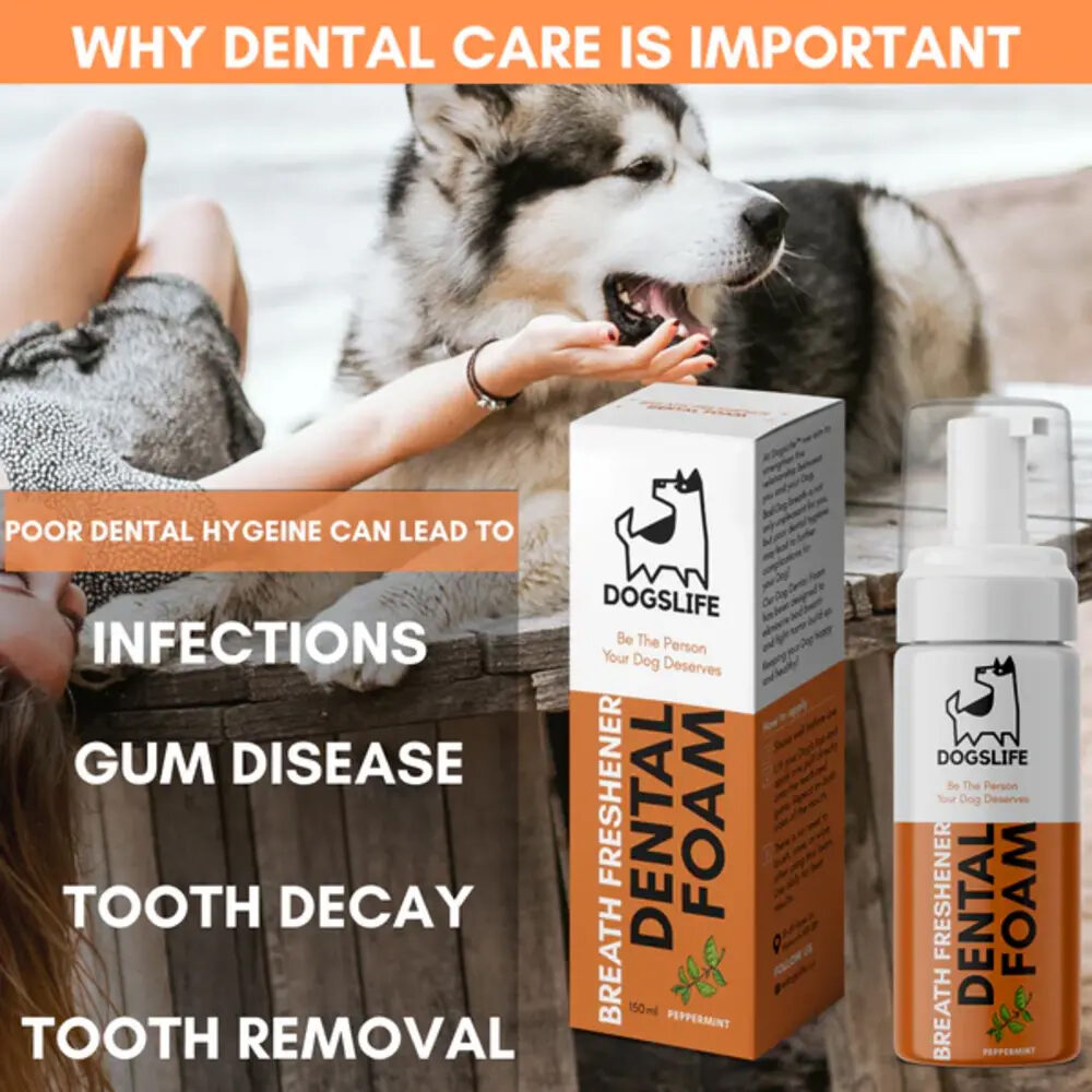 DogsLife Dental Foam