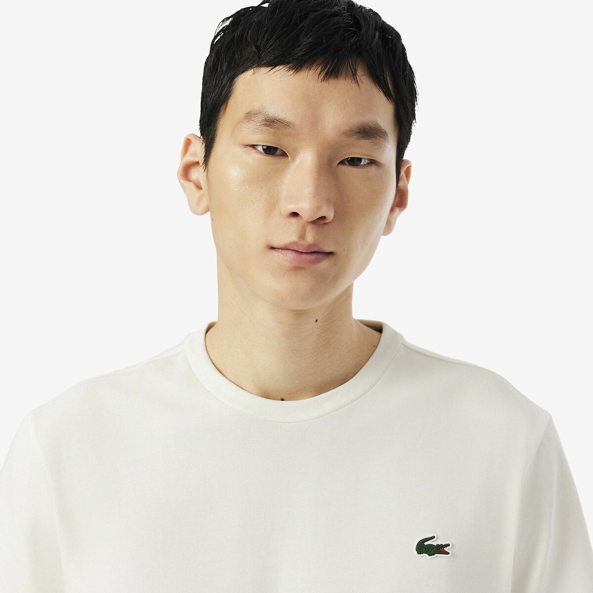 Camiseta de manga curta LACOSTE com logo nas costas