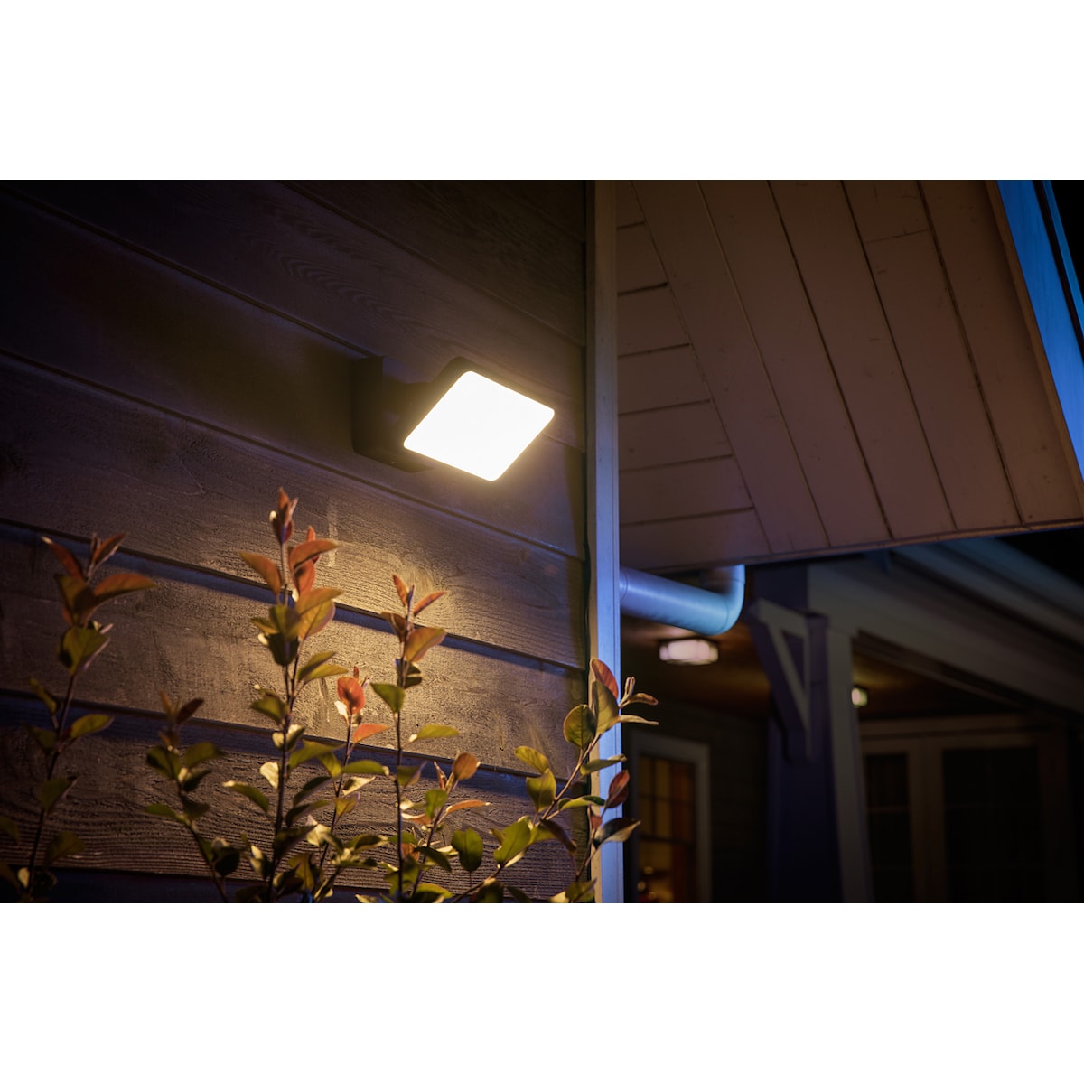 Philips Hue Discover WACA lyskaster