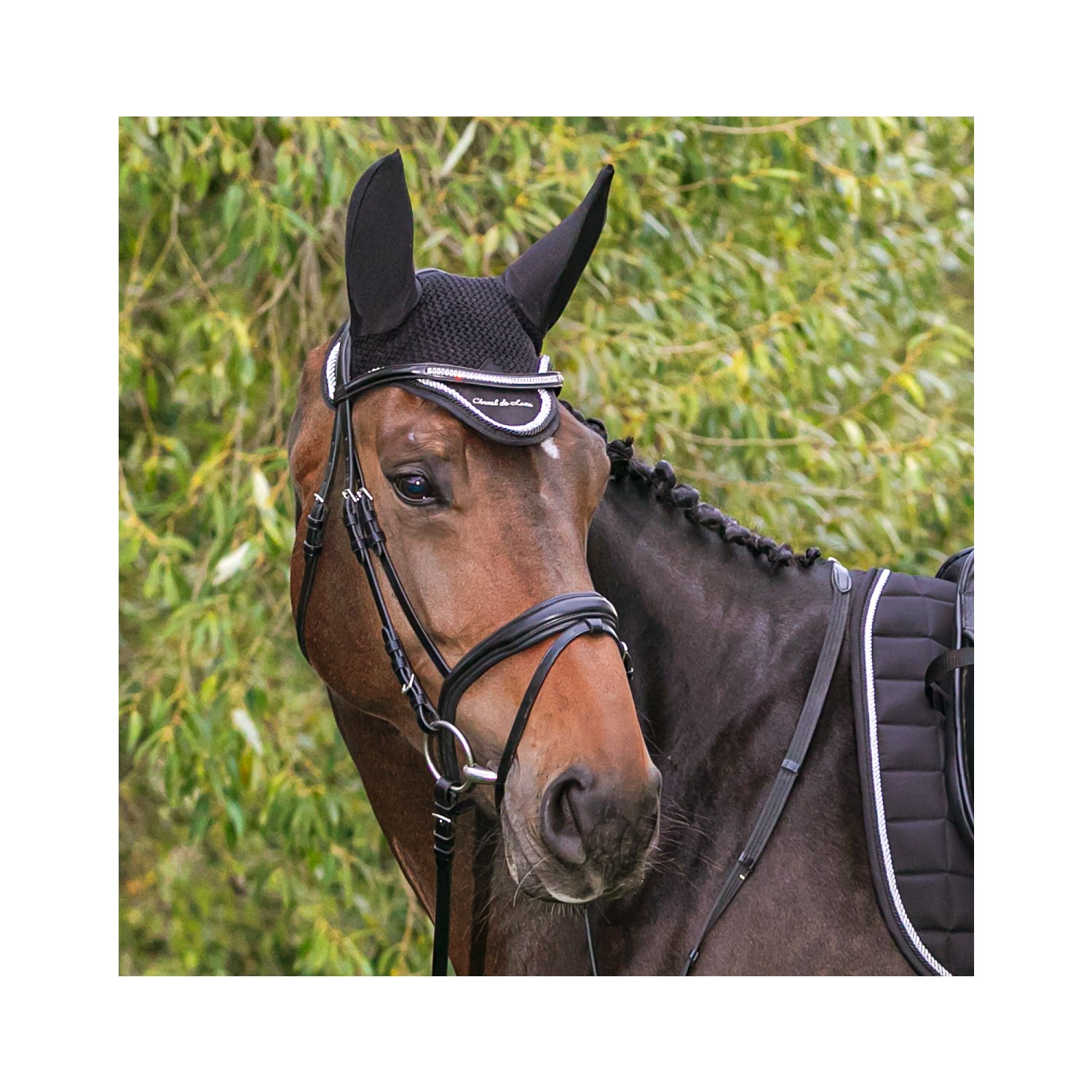 Cheval de Luxe Fliegenohren  - black/silver