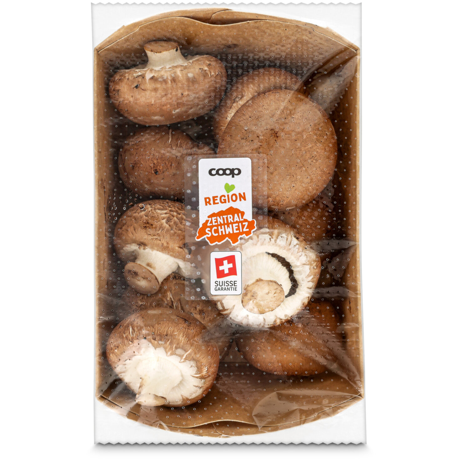 Champignons braun -