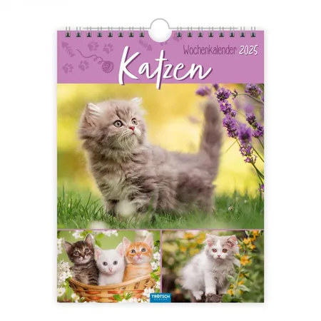 Trötsch Wochenkalender 