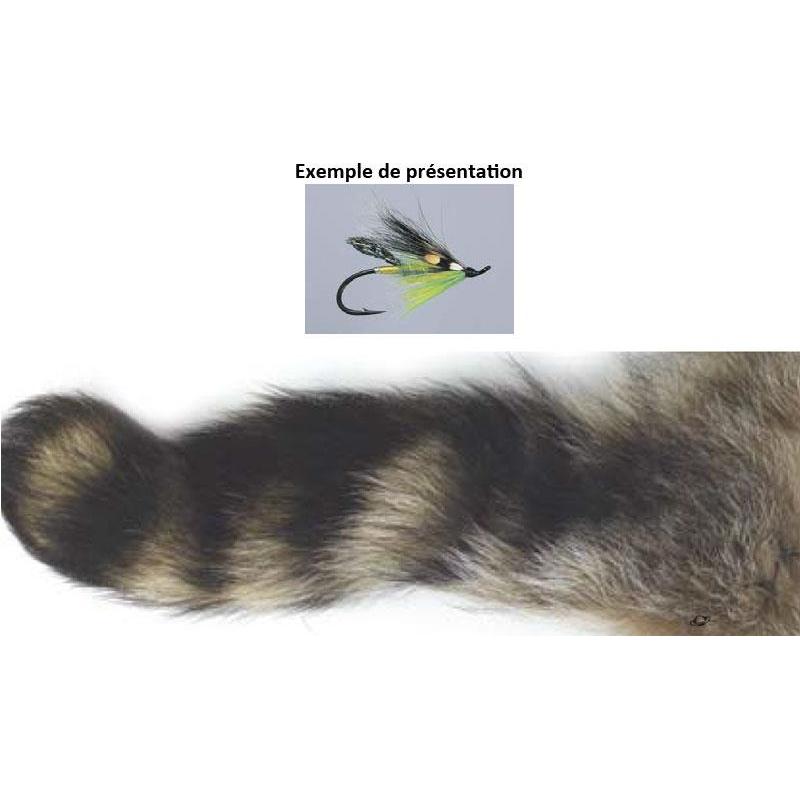 Queue De Raton Laveur Tof Morceau