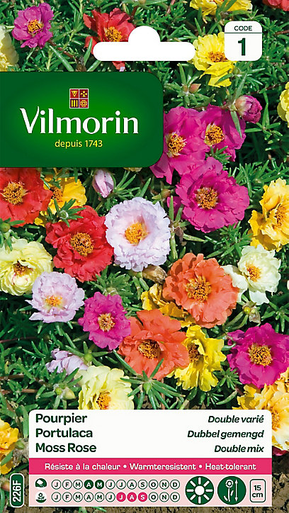 Graines de Pourpier Grande Fleur Double Varié Vilmorin