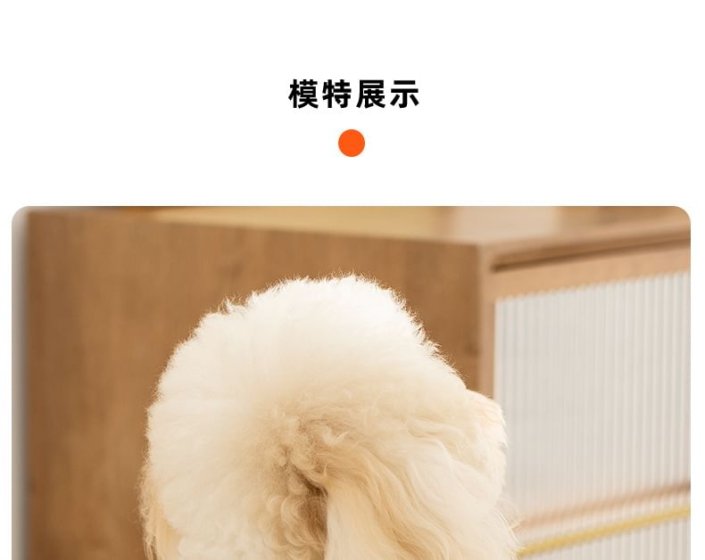 Cissilli - Smiley Argyle Chenille Pet Top