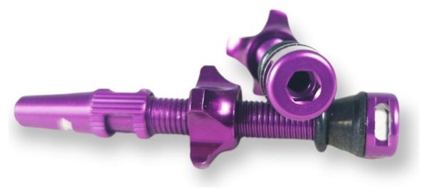 Paire de Valves Ice Airflow Tubeless 44 mm Violet
