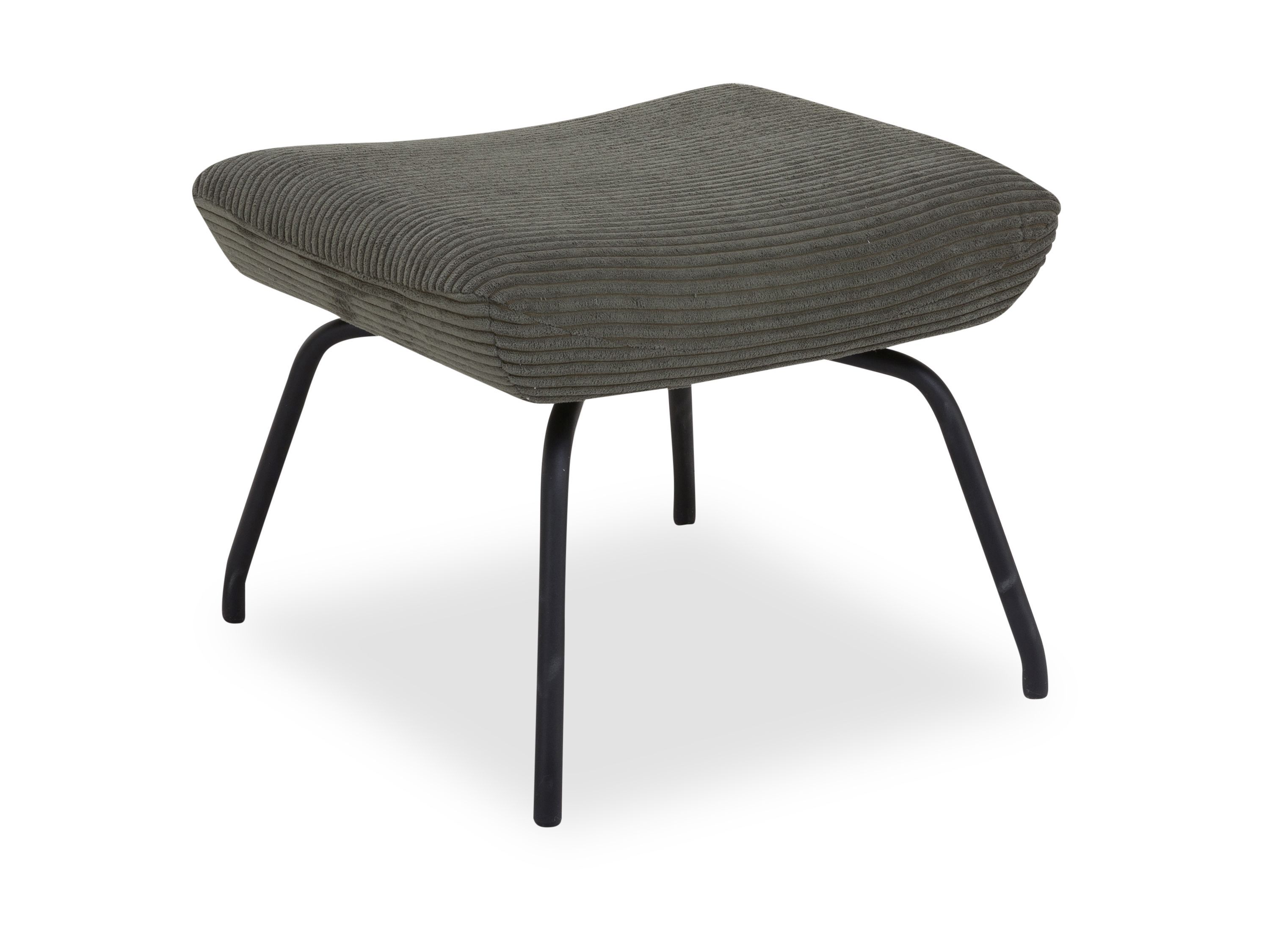 Hocker CARRY turtle