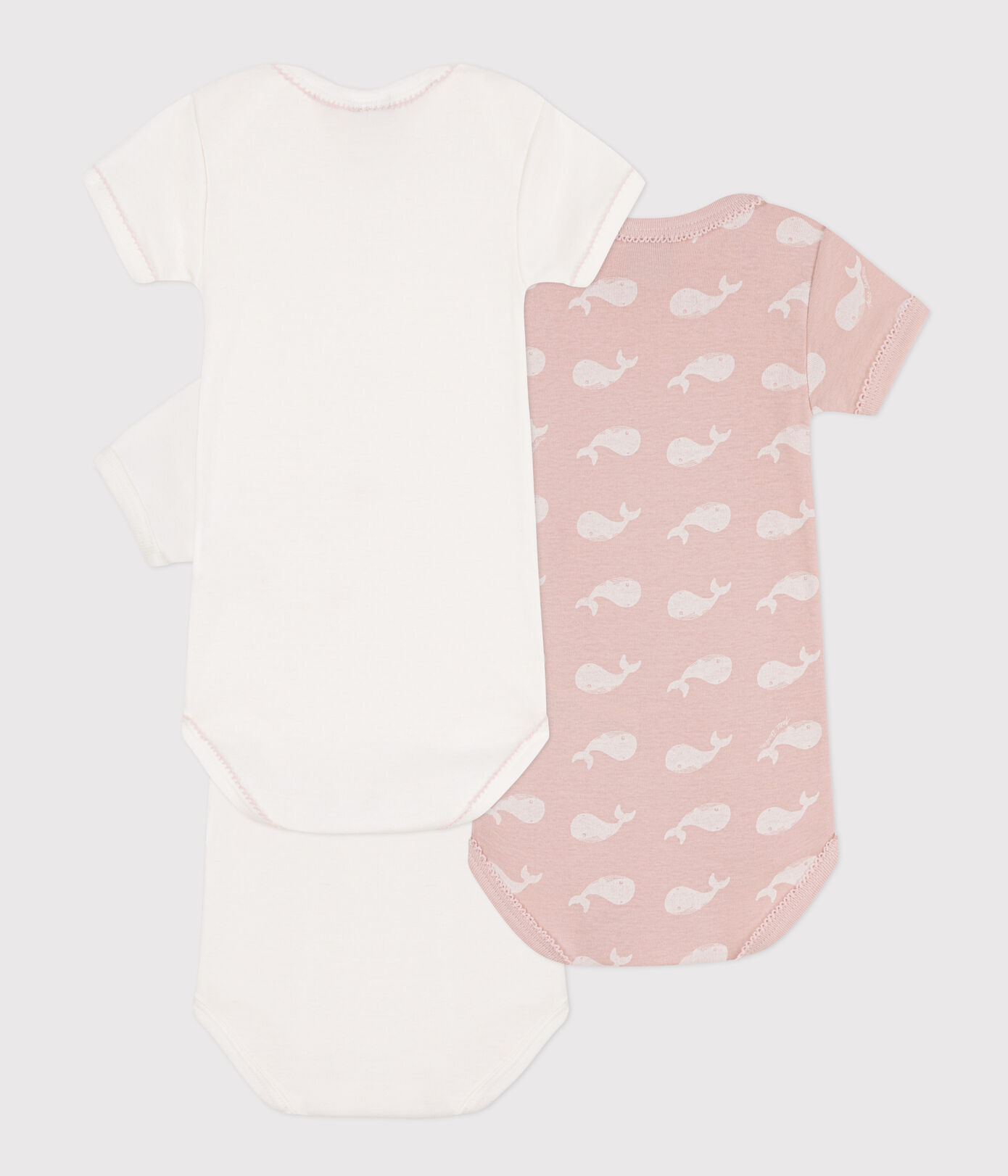 Lot de 3 bodies manches courtes baleines en coton
