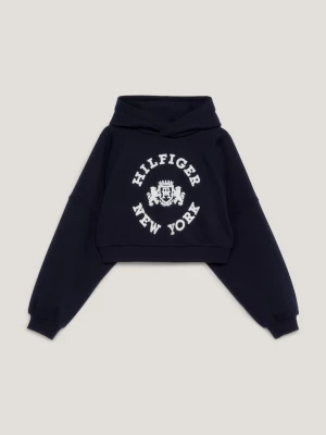 Moletom com capuz cropped estilo universitário