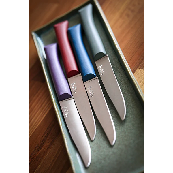 Coffret 4 couteaux de table Glam Opinel