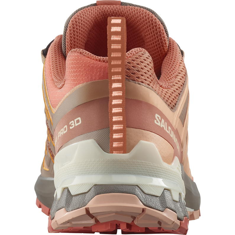 Salomon XA Pro 3D V9 Schuhe