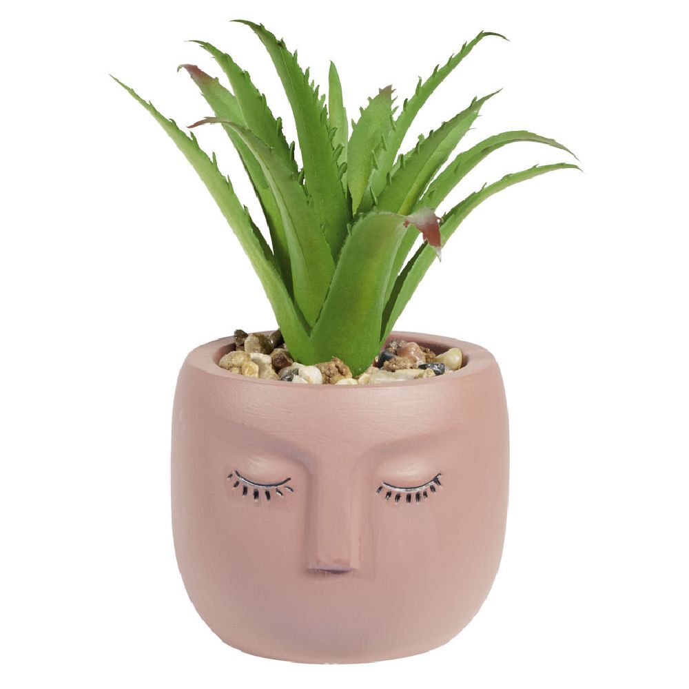 Plante artificielle pot ciment visage Ø8xH16cm