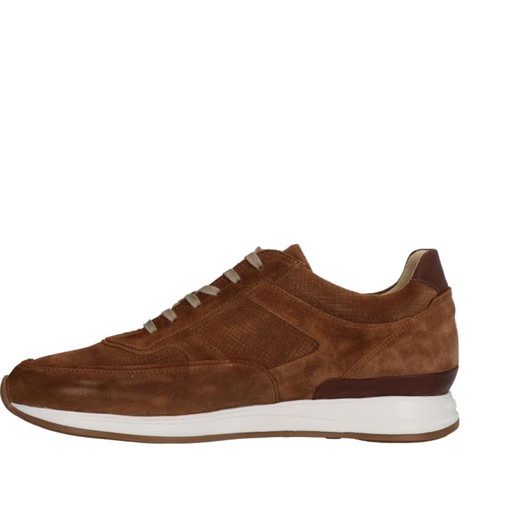 Van Bommel SBM-10020 lightbrown