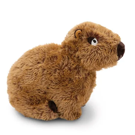 NICI Sitzendes Kuscheltier Capy-Barbara NICI GREEN 27 cm