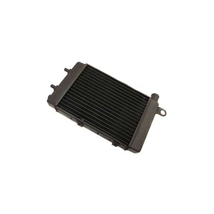 Radiateur Brazoline A EAU ADAPTABLE COTE GAUCHE