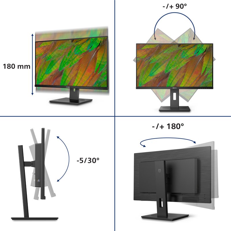 Philips 3000 series 32B1N3800/00 écran plat de PC 80 cm (31.5